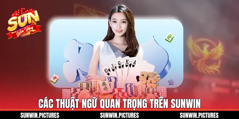 Các thuật ngữ quan trọng trên Sunwin