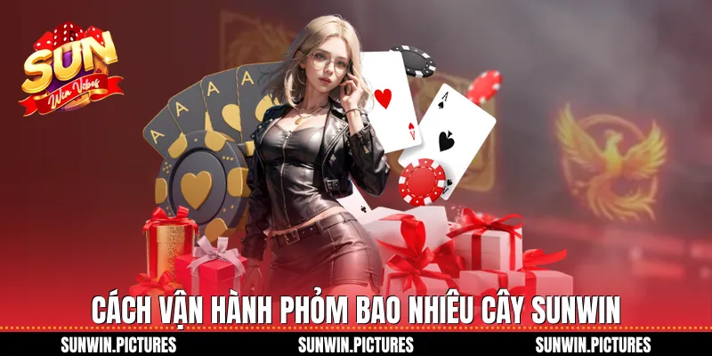 Cách vận hành phỏm bao nhiêu cây Sunwin