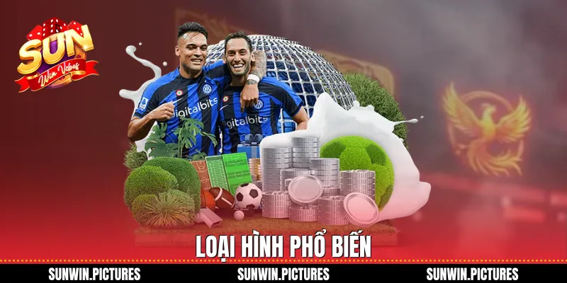 Loại hình phổ biến